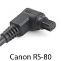 Canon RS-80.jpg